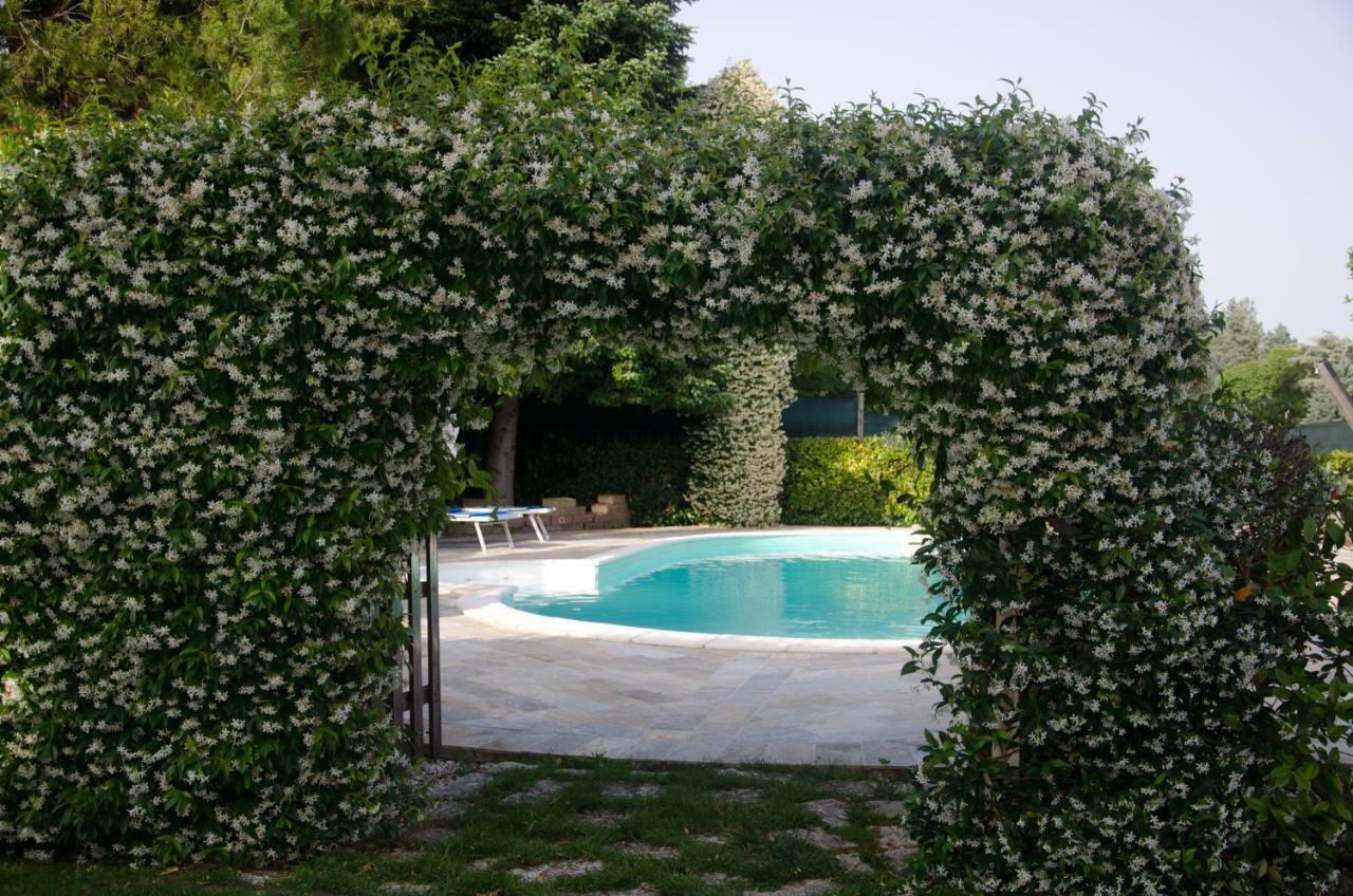 La Coccinella Bed and Breakfast Iesi Εξωτερικό φωτογραφία